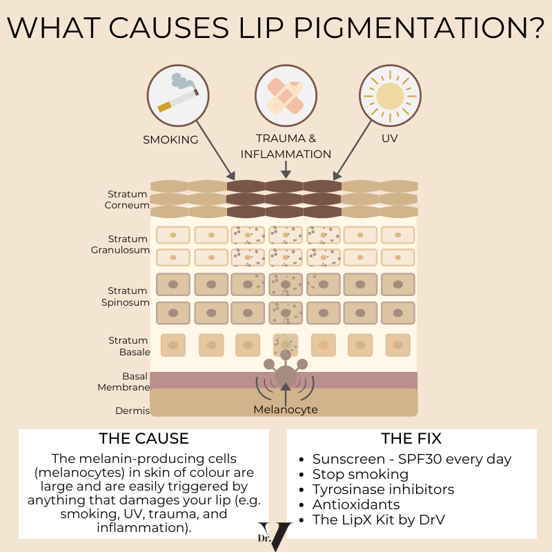 LipX - Lip Pigmentation Kit